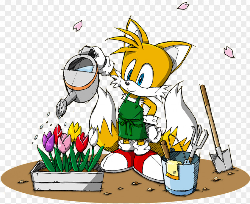 Miles Tails Sonic Forces Doctor Eggman Amy Rose The Hedgehog 3 PNG