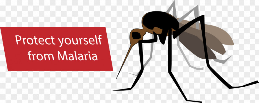 Mosquito Malaria Anopheles Gambiae Eradication Of Infectious Diseases PNG
