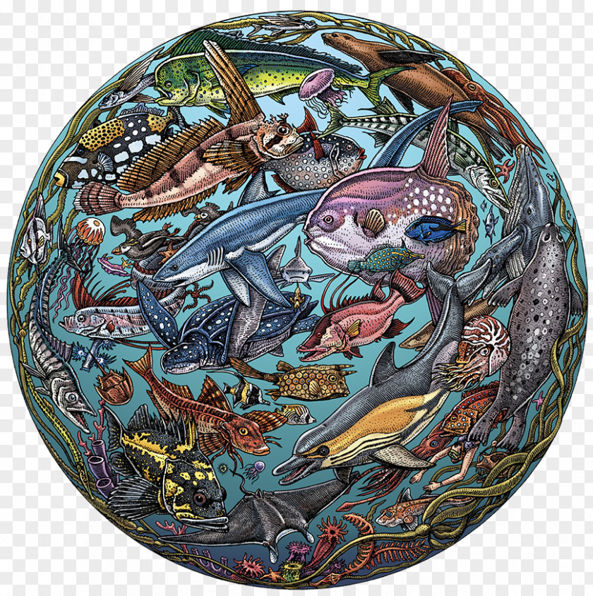 Planet Alaska Something Fishy This Way Comes: The Artwork Of Ray Troll T-shirt Artist Painting PNG