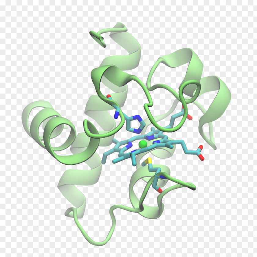 Plastocyanin Chlamydomonas Reinhardtii Cytochrome C Cytochrom C6 B PNG