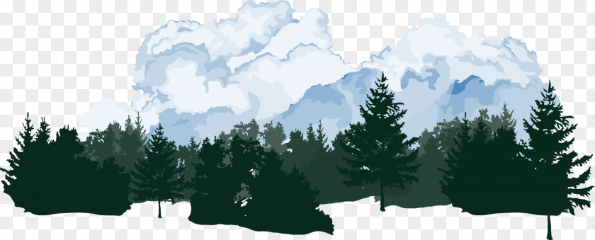 Vector Forest Download Illustration PNG
