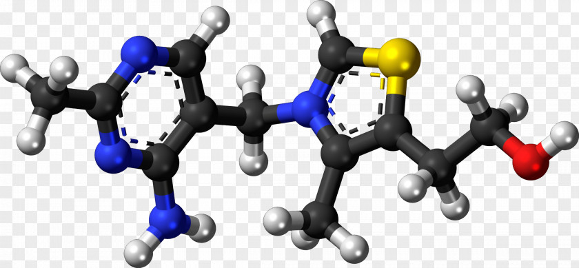 Vitamin Pills Thiamine Deficiency Molecule Thiaminase PNG