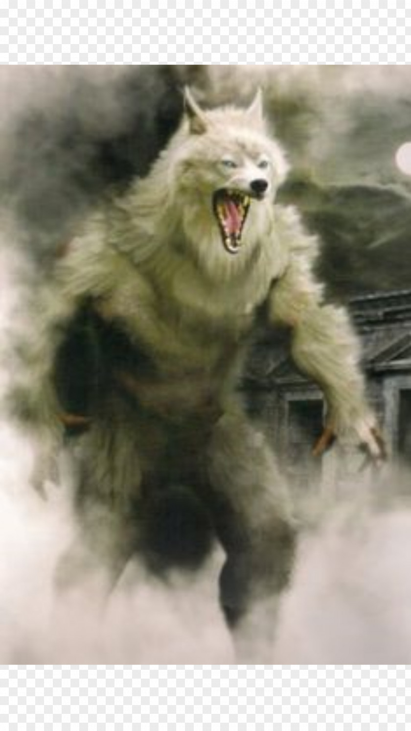 Werewolf Vampire Fantasy Film Myth PNG