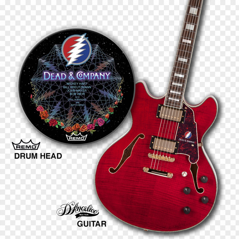 Bass Guitar Dead & Company Summer Tour 2016 2018 Electric PNG