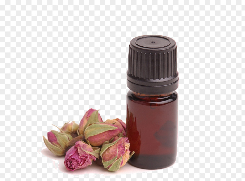 Bottle Of Essential Oil Aromatherapy Naturopathy Massage PNG