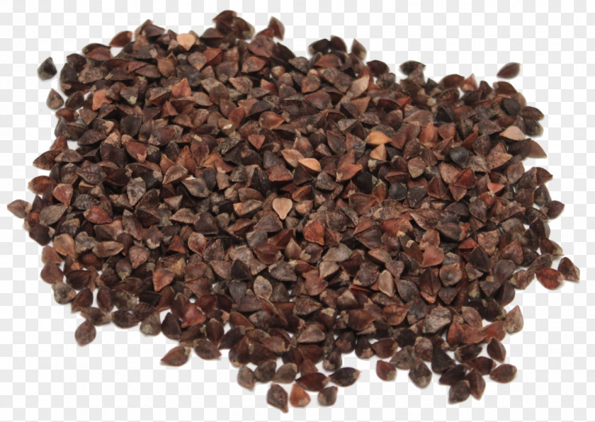 BUCKWHEAT Buckwheat Seed Cocoa Bean Bird PNG