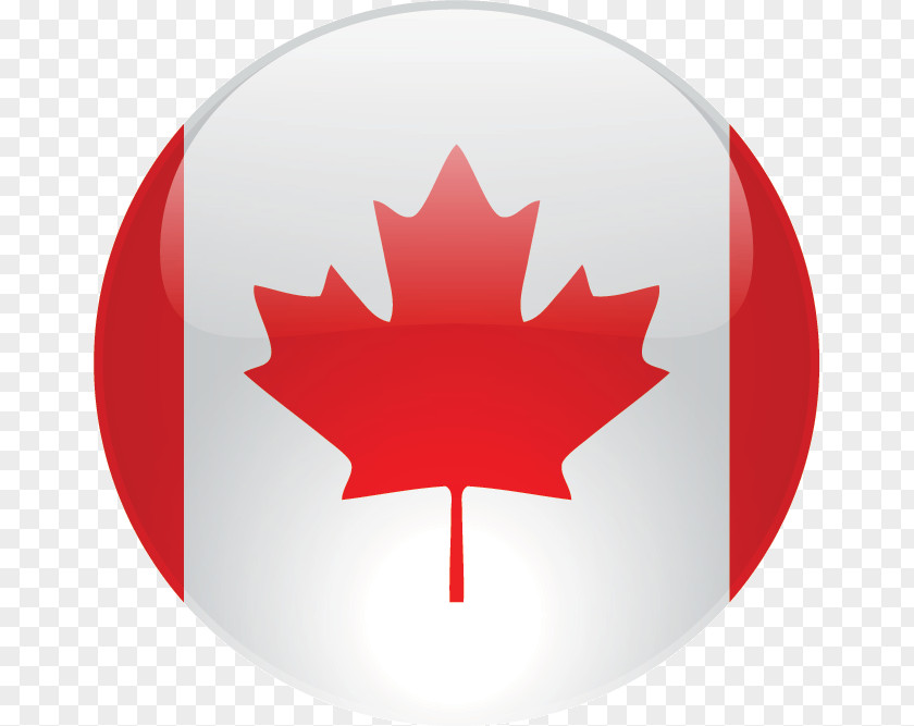 Canada Flag Of Black Helterline LLP National Maple Leaf PNG