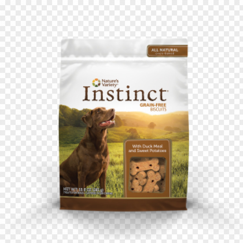 Dog Croquette Cat Food PNG