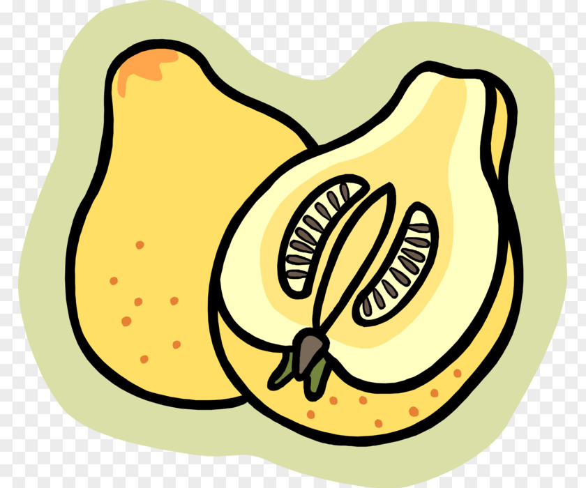 Edible Vector Food Fruit Clip Art Egg Pear PNG