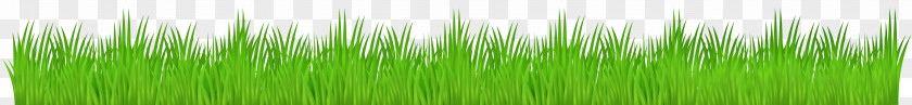 Grass Transparent Clip Art Image Vetiver Wheatgrass Green Commodity Plant Stem PNG