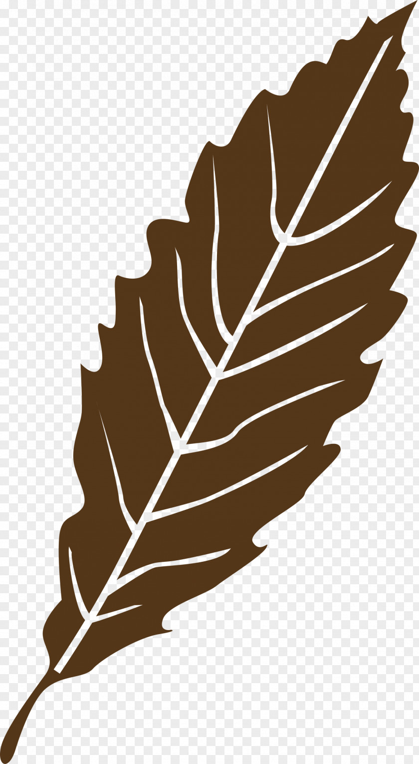 Leaf PNG