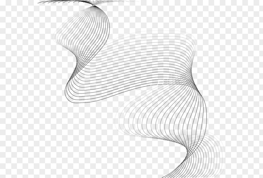 Line White Angle PNG