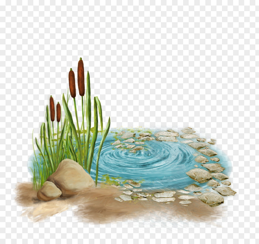 Odonate Blog Garden Flowerpot PNG