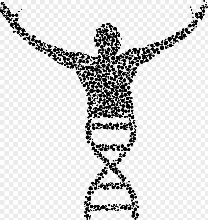 Science Molecular Biology DNA Clip Art PNG