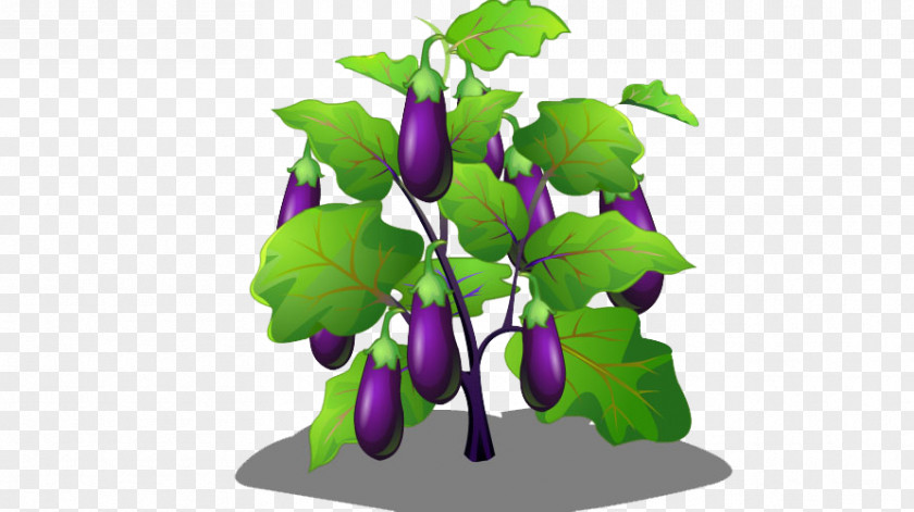 Cartoon Eggplant Tree PNG