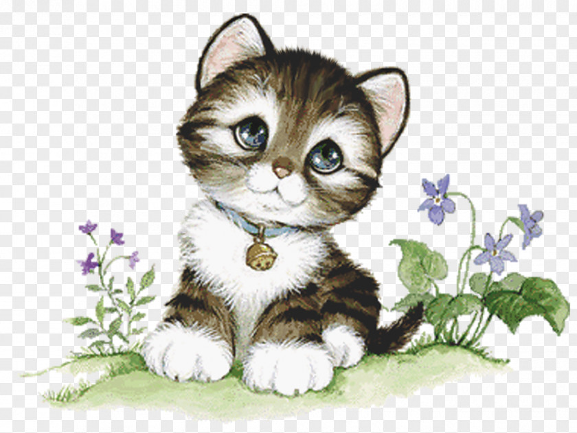 Cat Kitten Cuteness PNG