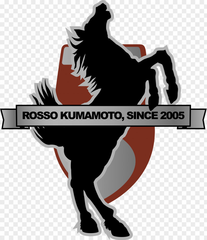 Football Roasso Kumamoto J2 League Avispa Fukuoka Kamatamare Sanuki PNG