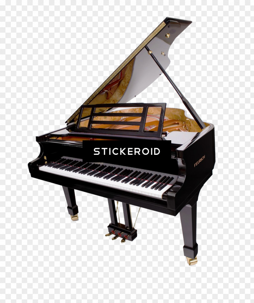 Musical Instrument Accessory Harpsichord Piano Cartoon PNG