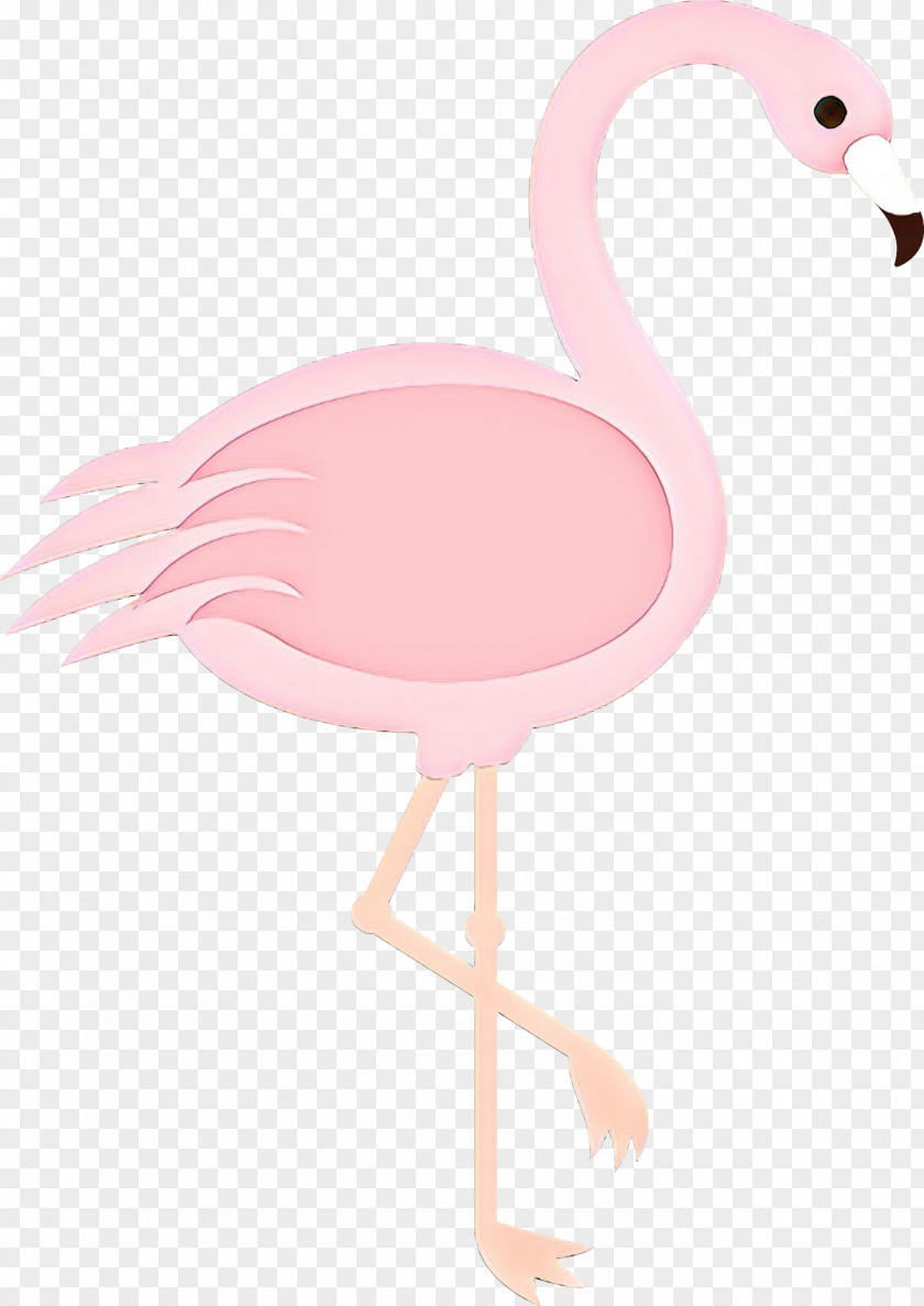Product Design Beak Feather Pink M PNG