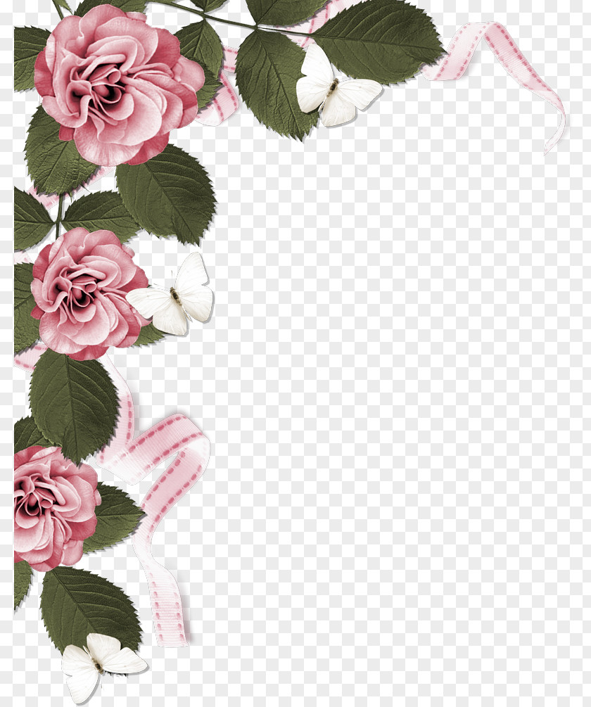 Side Border Rose Stock Photography Pink Clip Art PNG