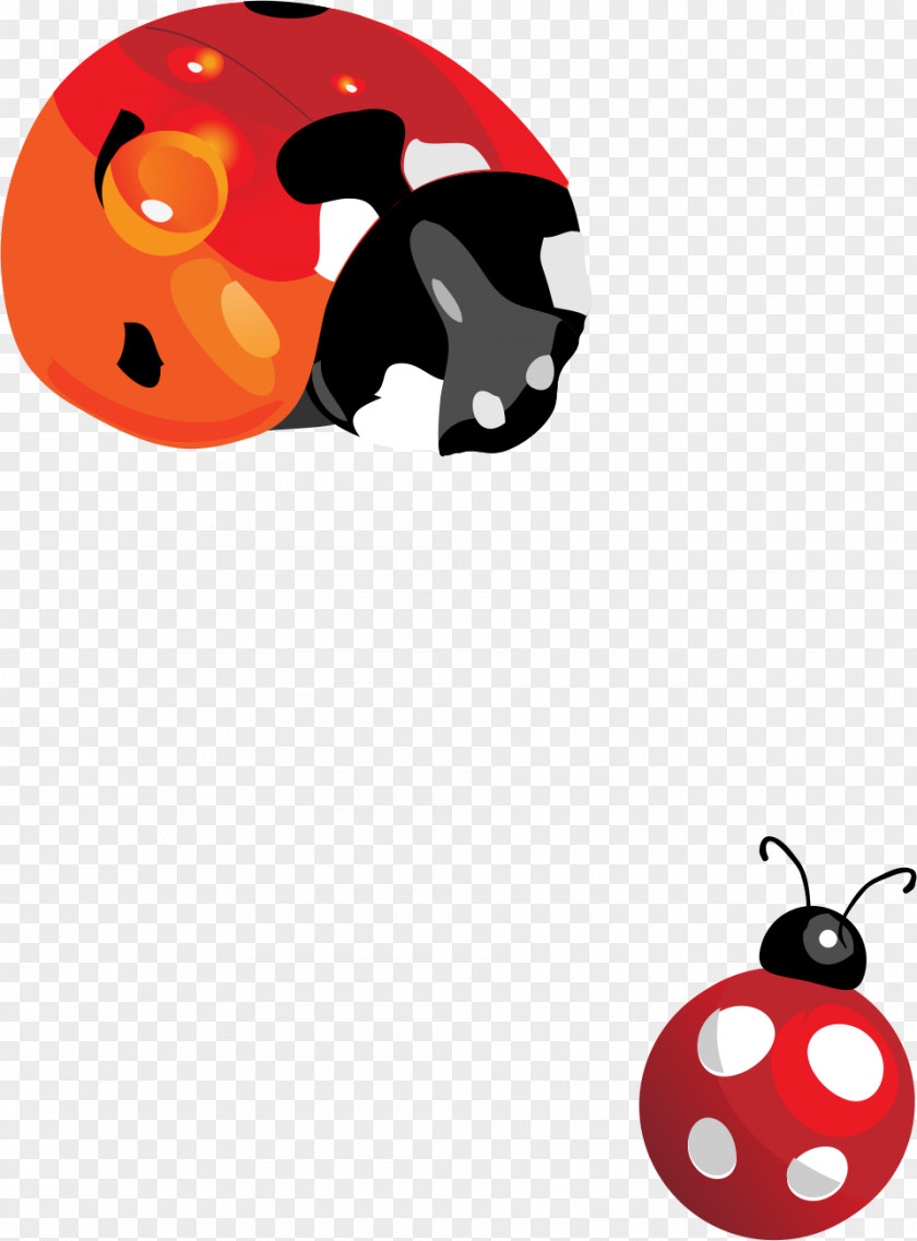 Cute Ladybug Ladybird Adobe Illustrator Illustration PNG