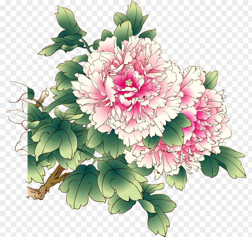 Peony Chinese Moutan Clip Art PNG