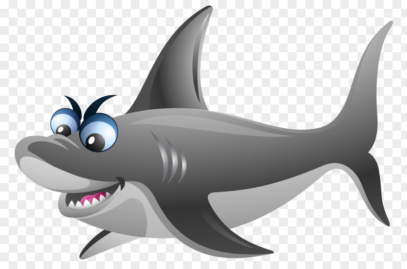 Bank Holiday Requiem Sharks Marine Biology Mammal PNG