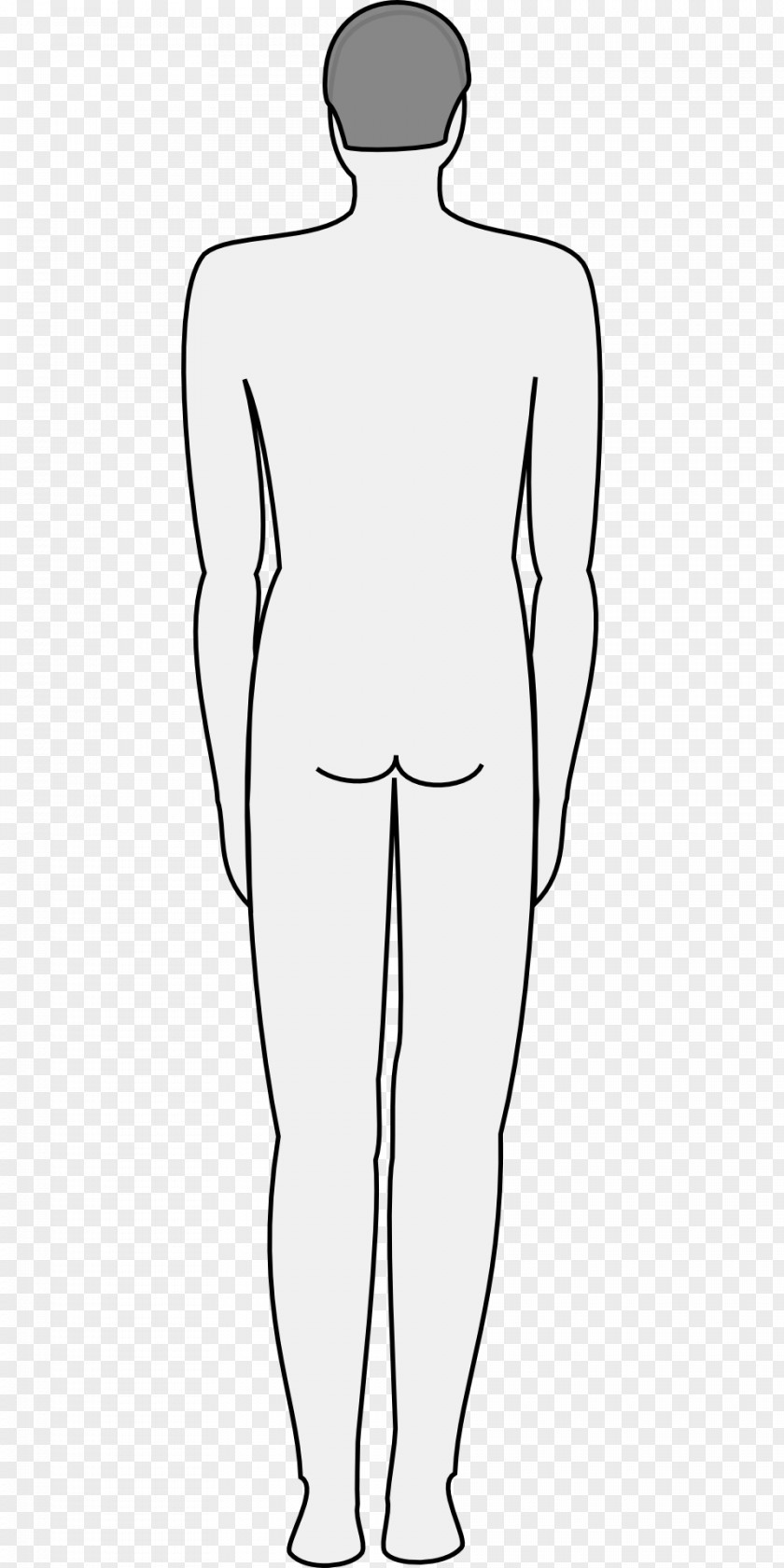 Body Line Art Silhouette Vertebral Column Human Back PNG