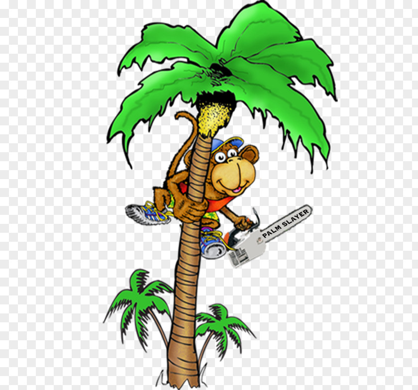 Coconut The Palminators Palm Trees Image PNG
