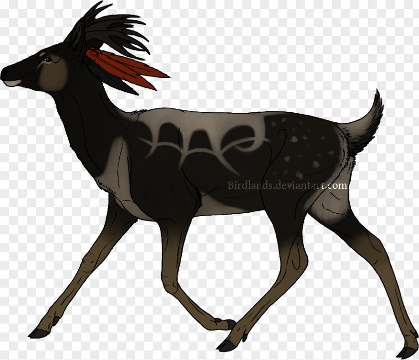 Deer Red Reindeer Roe Moose PNG