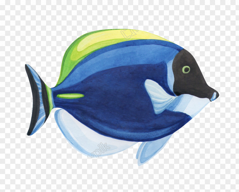 Fish Goldfish Watercolor Painting Drawing Graphics PNG