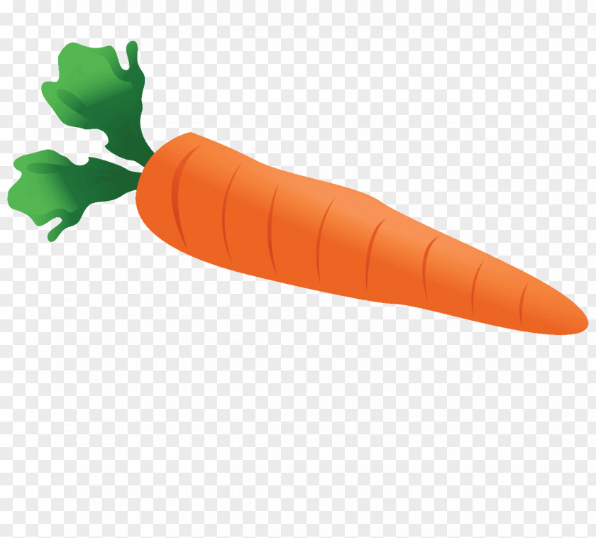 Watercolor Vegetables Carrot Cake Vegetable Clip Art PNG
