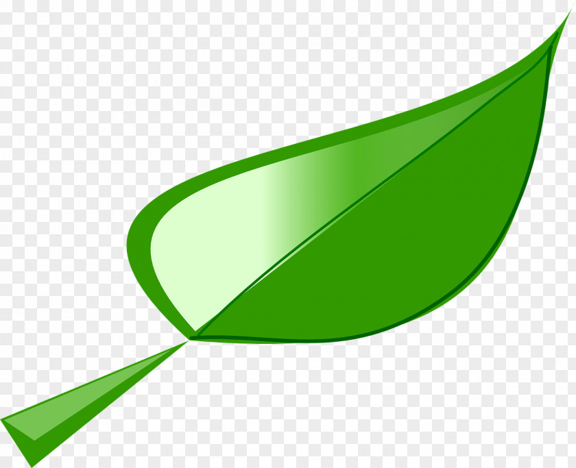 Green Leaves Leaf Clip Art PNG