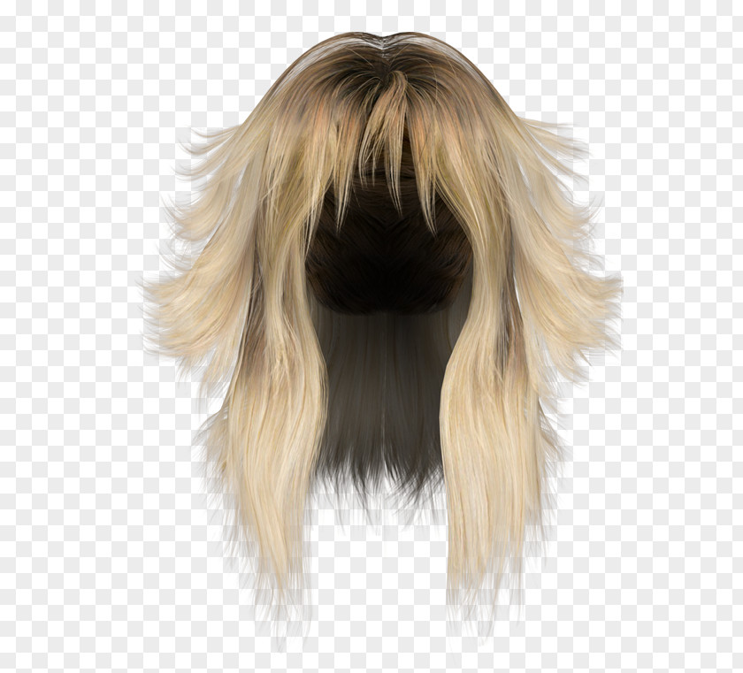 Hair Hairstyle Wig Long PNG