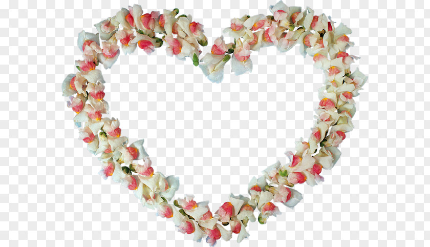 Heart Flower Petal Necklace PNG
