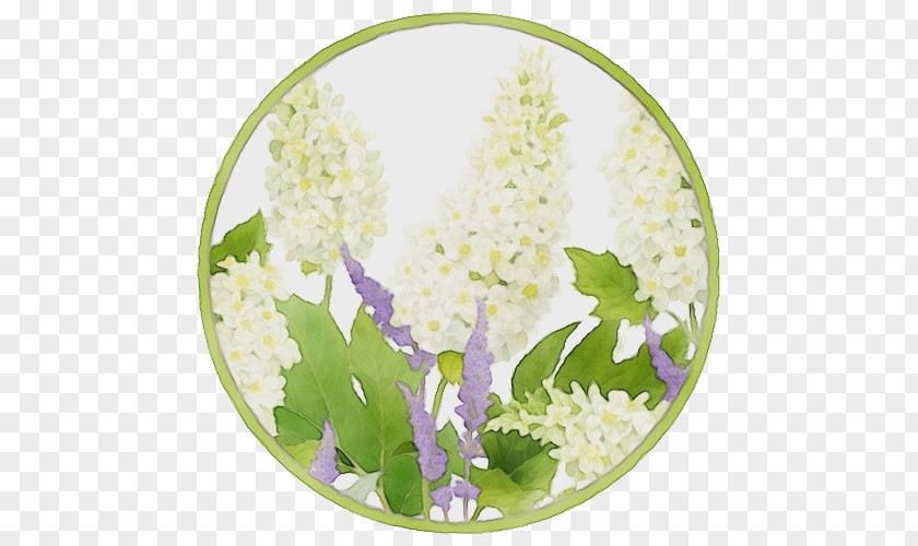 Hydrangea Delphinium Lily Of The Valley Flower Lilac Plate Plant PNG