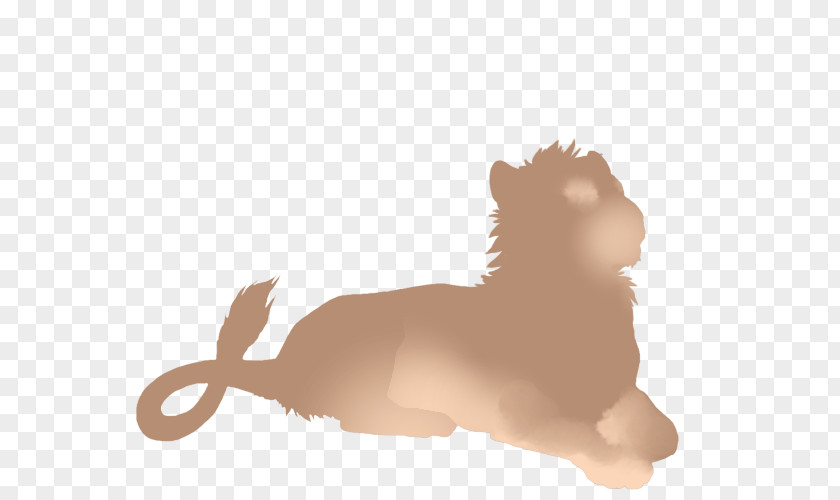 Lion Whiskers Cat Dog Leopard PNG