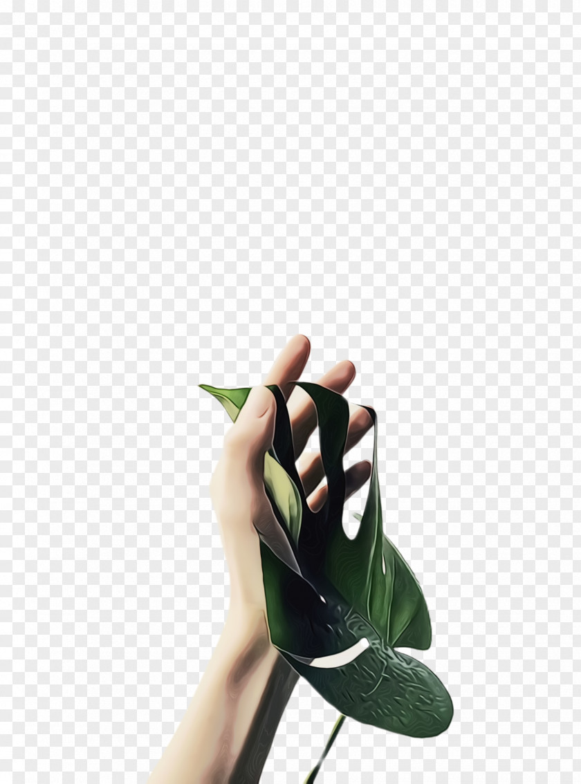 Outdoor Shoe Thumb Green Leaf Background PNG