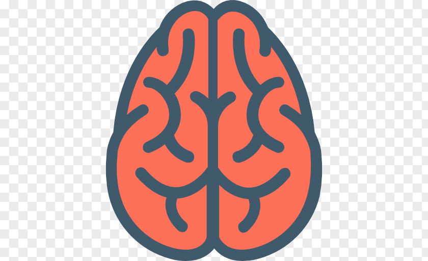 Brain Anatomical Directions Human Cognitive Training Memory Damage PNG