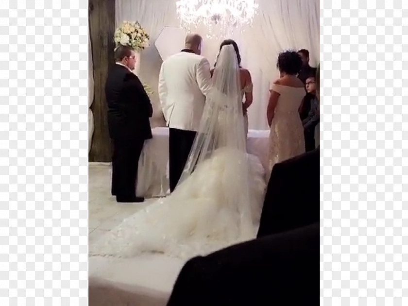 Bride Wedding Dress Reception Marriage PNG