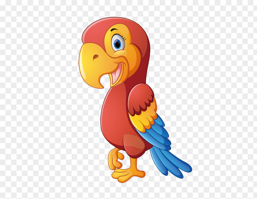 Cartoon Parrot Bird Vector Graphics Stock Illustration Clip Art PNG