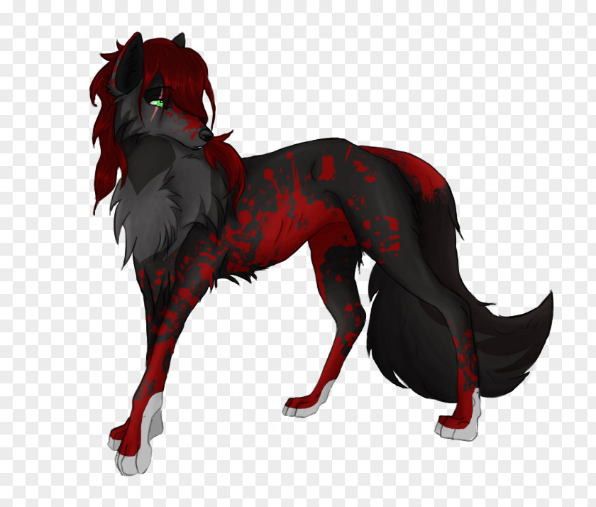 Red White Wolf Drawings Dog Pack Wadera Magic PNG