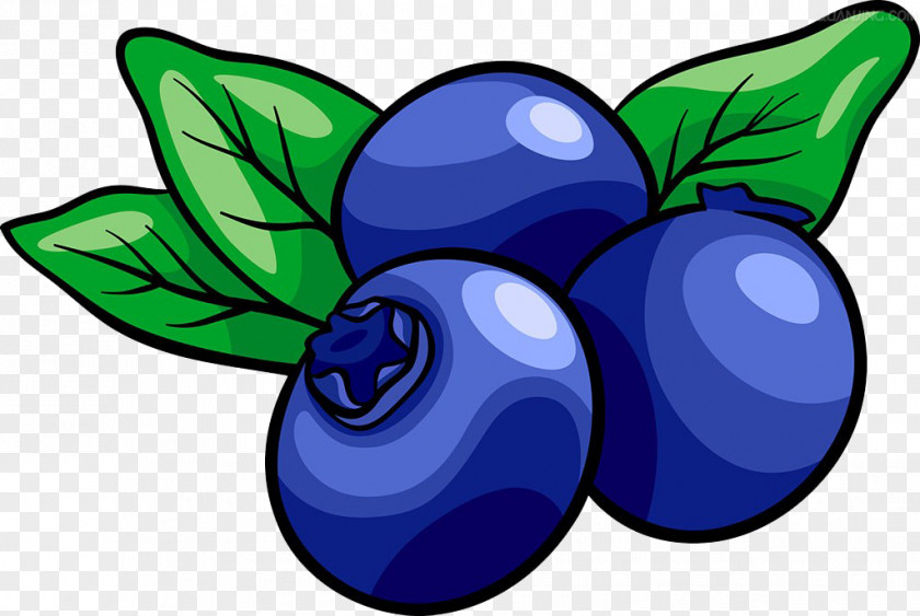 Blueberry Painted Material Muffin Royalty-free Clip Art PNG