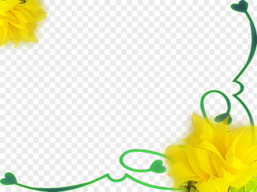 Powerdirector Art Sunflower M Floral Design PNG