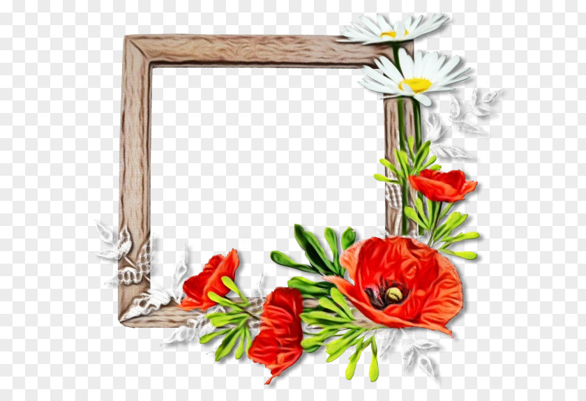 Anthurium Wildflower Graphic Design Frame PNG