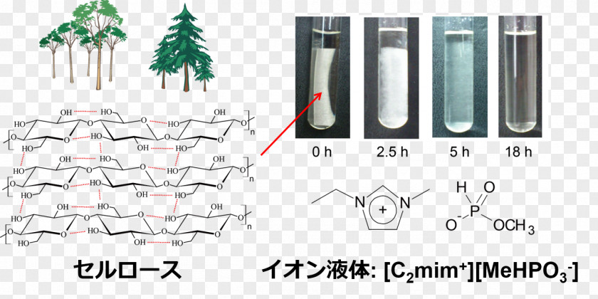 Cellulose Ionic Liquid Dissolution Polymer PNG