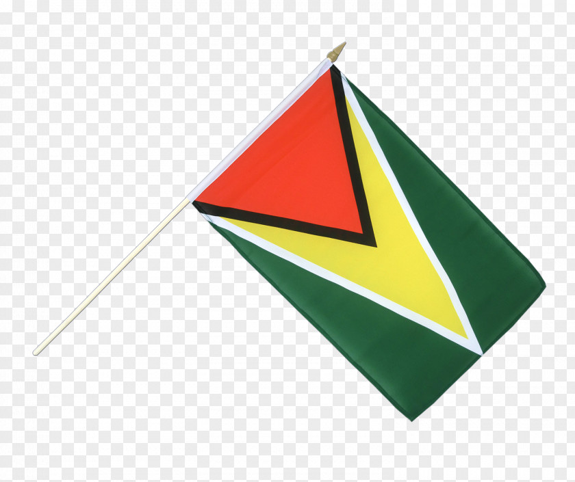 Flag State Of Palestine Guyana Palestinian National Authority PNG