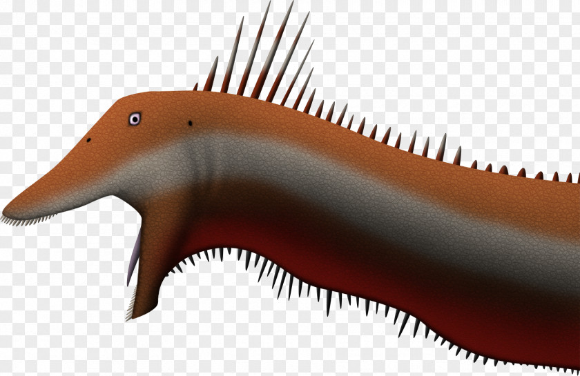 Kaatedocus Siberi Kimmeridgian Art Late Jurassic Sauropoda PNG