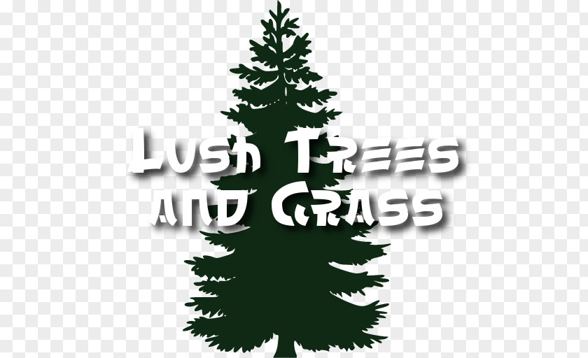 Lush Trees Eastern White Pine Tree Fir Clip Art PNG