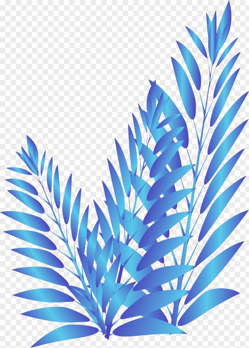 Vascular Plant Leaf PNG